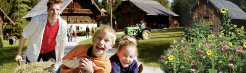 >Salzburger Freilichtmuseum