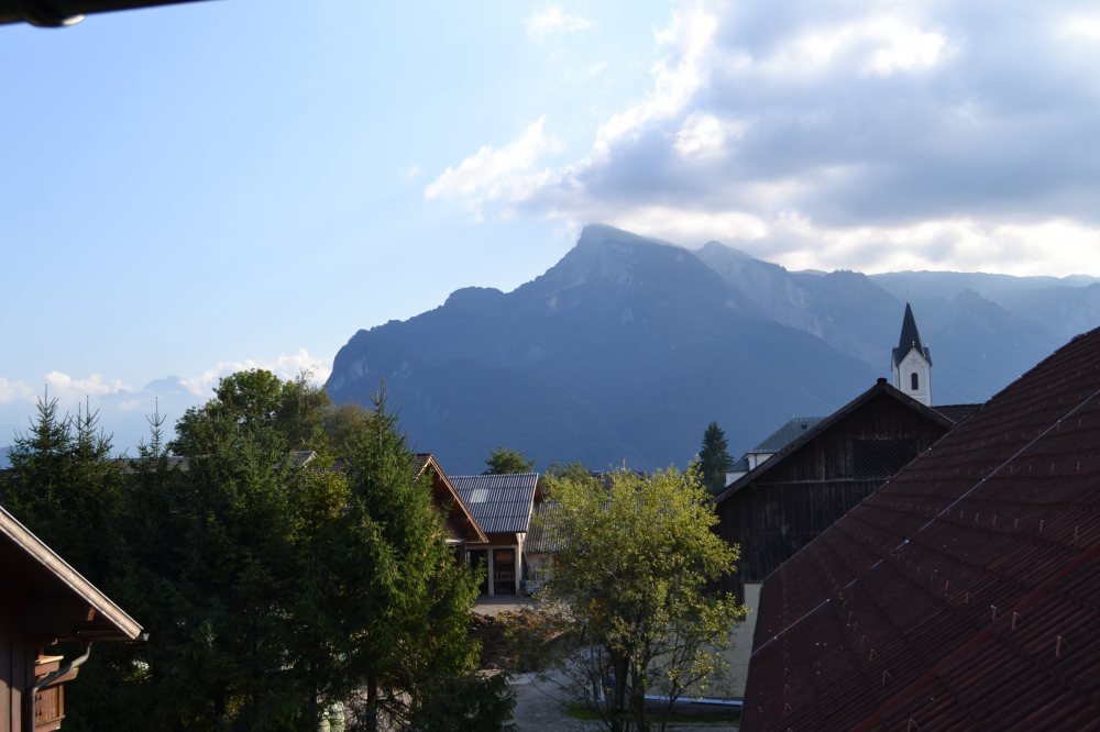 Schmiedhansl Moos (4 Edelweiss)