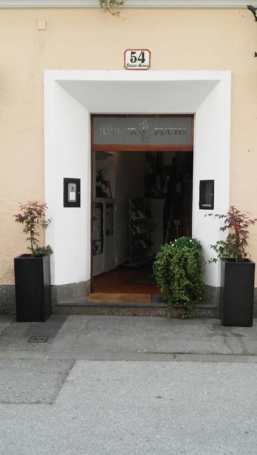 Pension Junger Fuchs