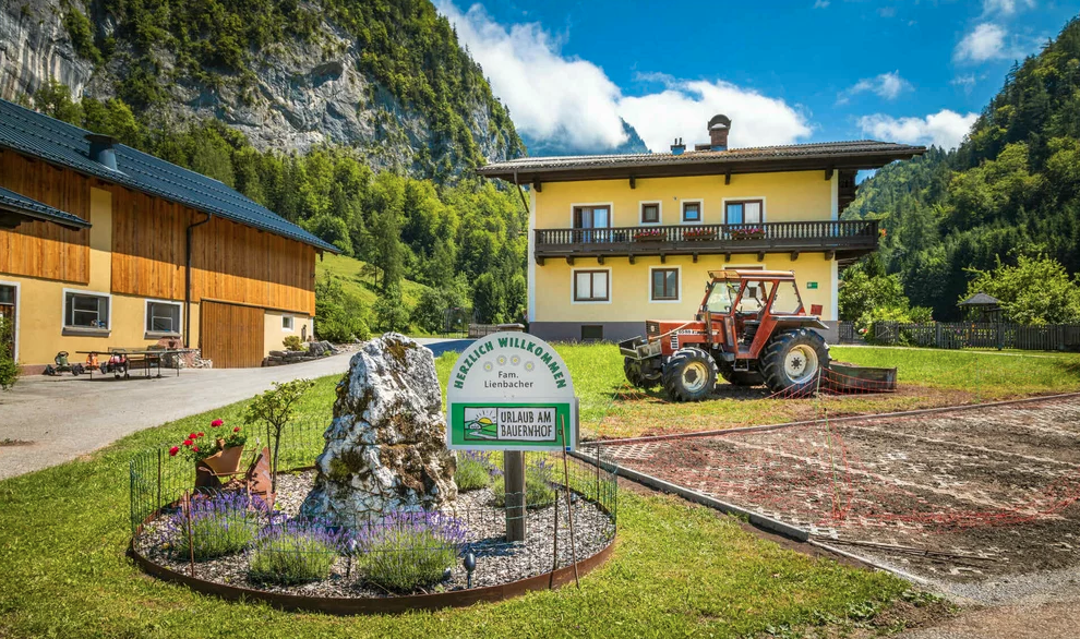 Hinterkellaubauer (keine)